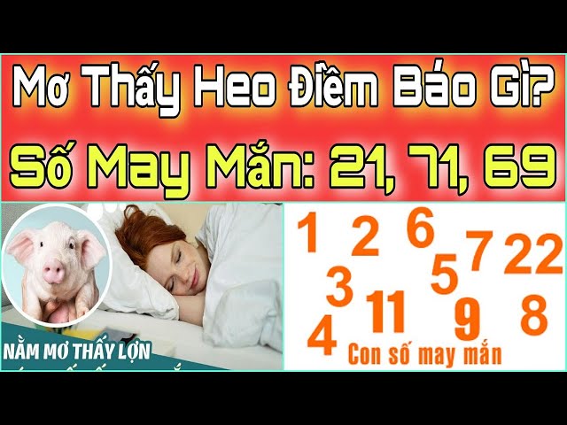 Bí mật đằng sau giấc mơ con heo